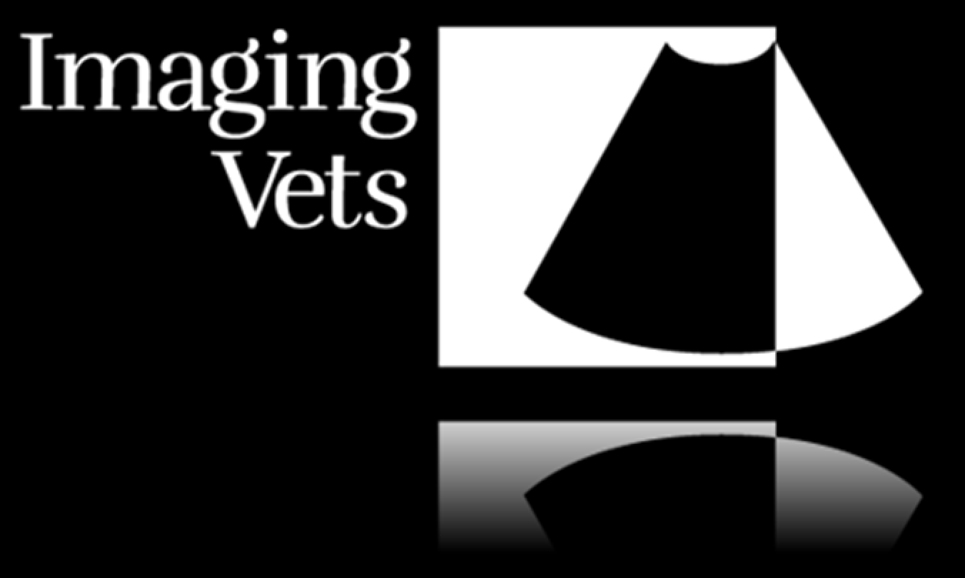 Imaging Vets